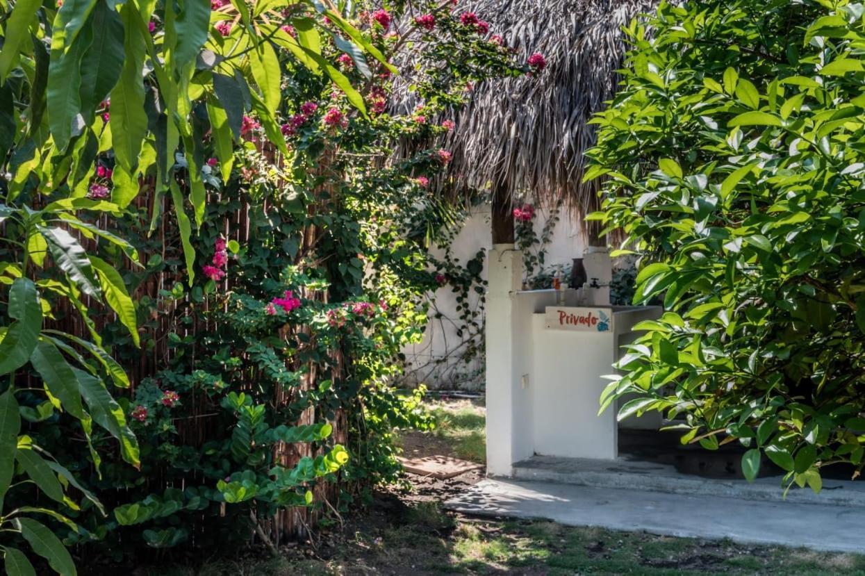 Zoah Surf Boutique Hotel, El Paredon El Paredon Buena Vista Luaran gambar